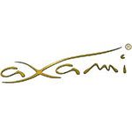 AXAMI